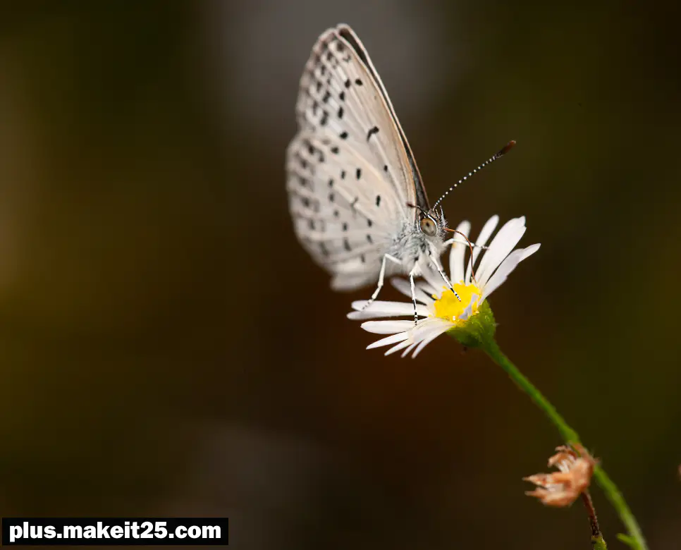 솔선수범 뜻 | 장유유서 뜻 | 종묘사직 뜻
