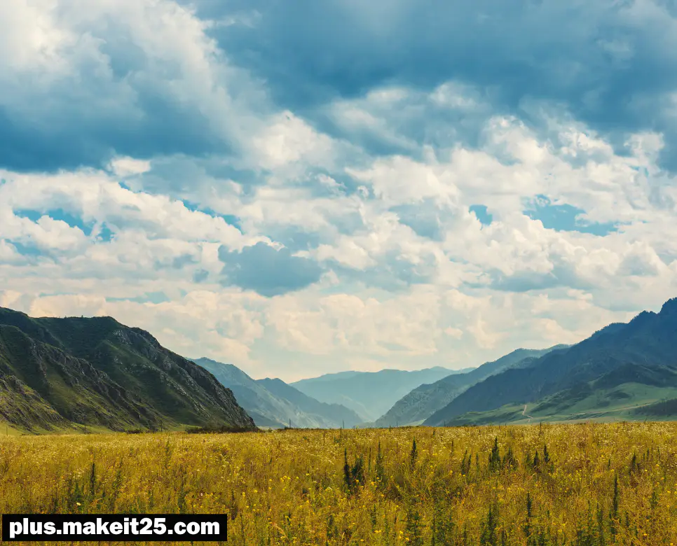 산해진미 뜻 | 상명하복 뜻 | 천방지축 뜻