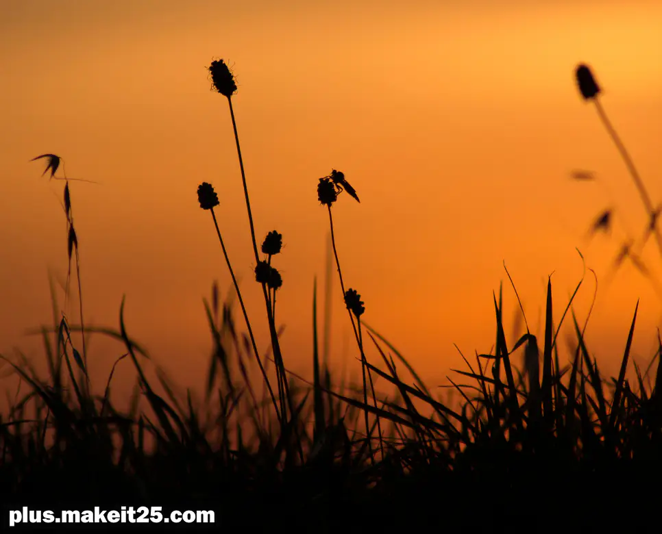 사생결단 뜻 | 산전수전 뜻 | 삼인성호 뜻