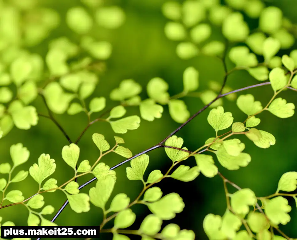 십시일반 뜻 | 아전인수 뜻 | 안빈낙도 뜻