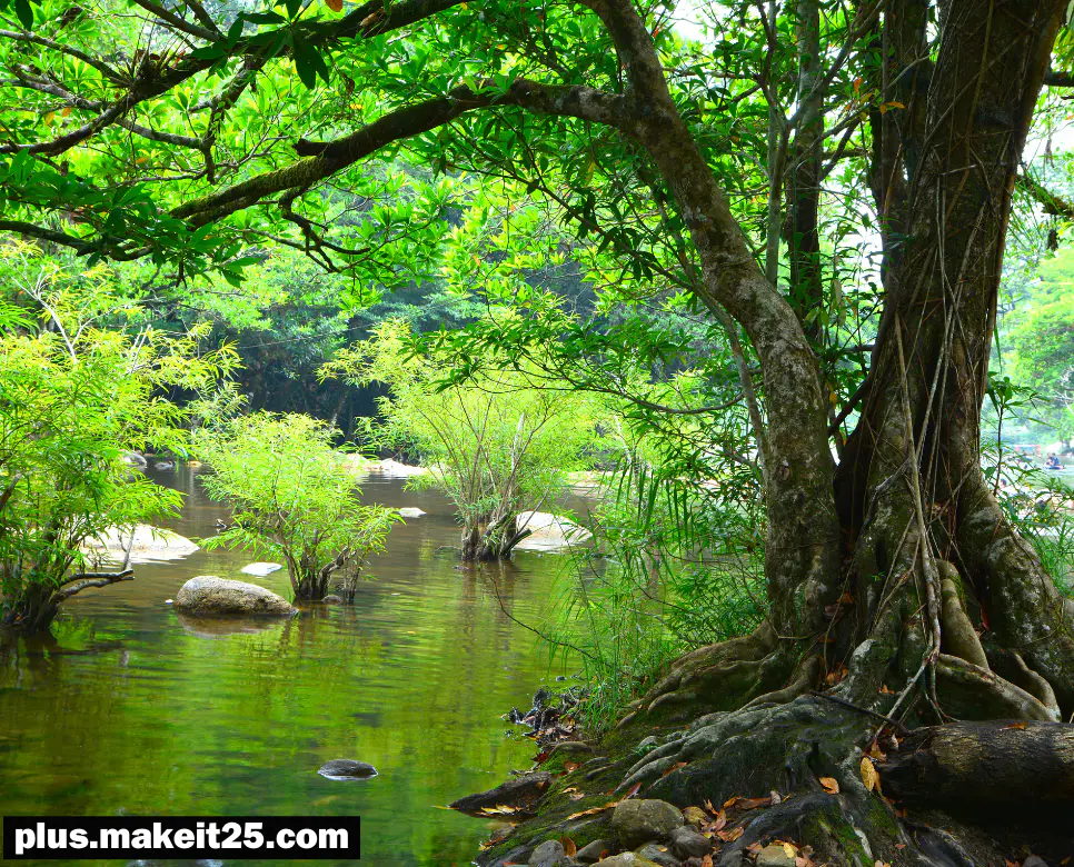 신언서판 뜻 | 사리사욕 뜻 | 청천벽력 뜻