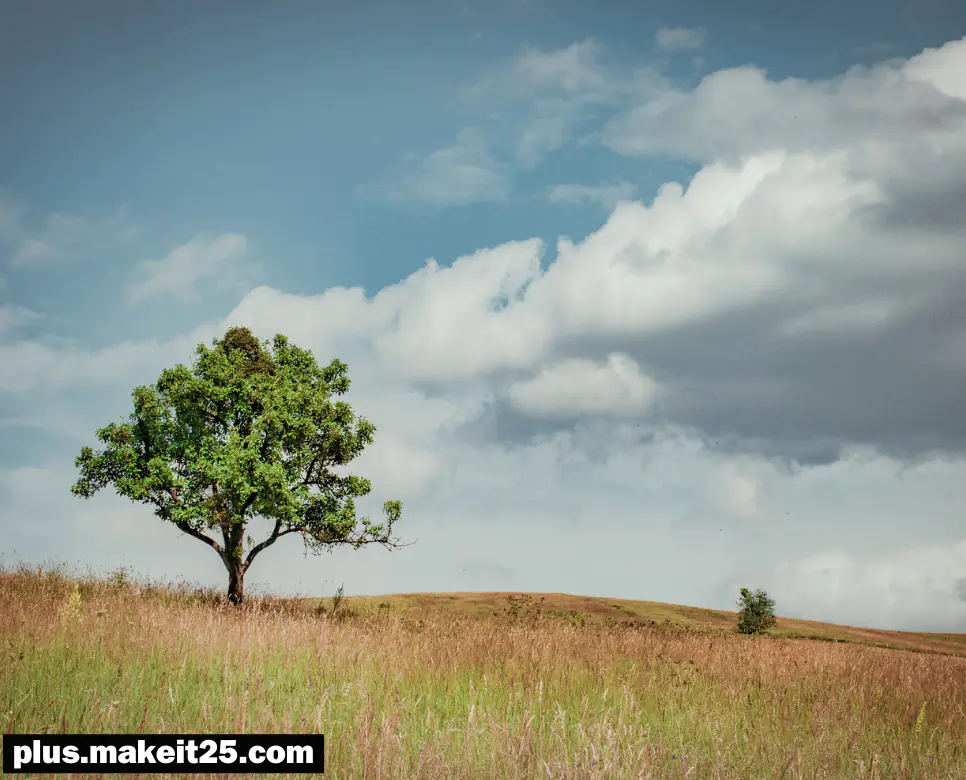 탕평책 뜻 | 초가삼간 뜻 | 남남북녀 뜻