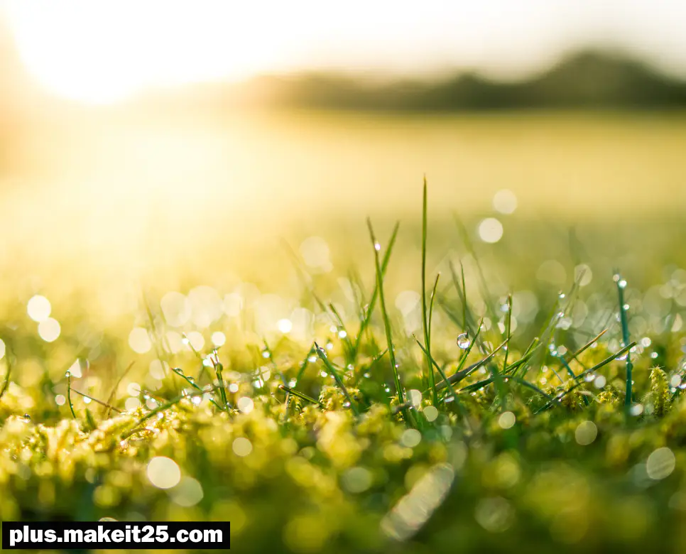 태평성대 뜻 | 토사구팽 뜻 | 천차만별 뜻