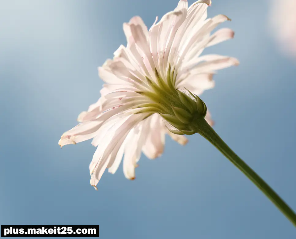 양자택일 뜻 | 언중유골 뜻 | 독불장군 뜻