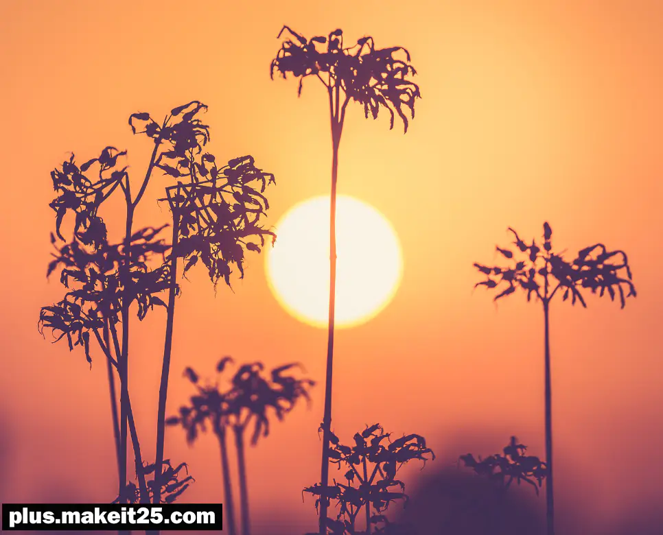 역린 뜻 | 금지옥엽 뜻 | 독수공방 뜻