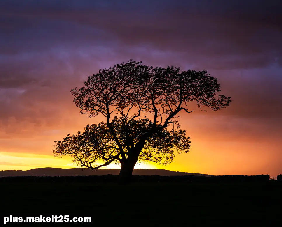 유아독존 뜻 | 제행무상 뜻 | 자아성찰 뜻