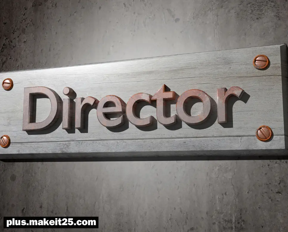 디렉터
