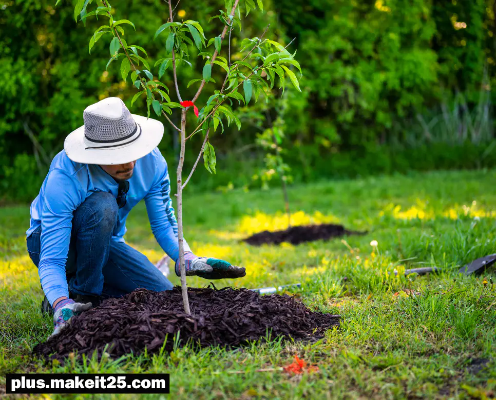 커버 뜻, 커버리지 뜻, 언더커버 뜻: 알기 쉽게 정리!