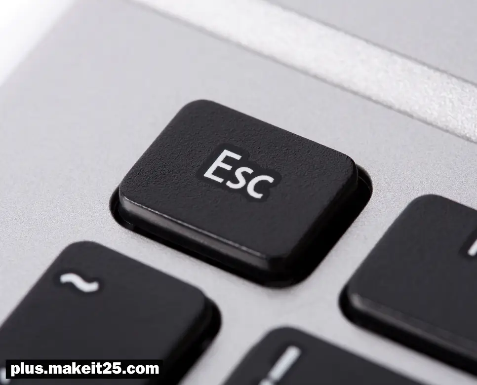 ESC 뜻, MT 뜻, AT 뜻: 헷갈린다면 이걸로 끝!