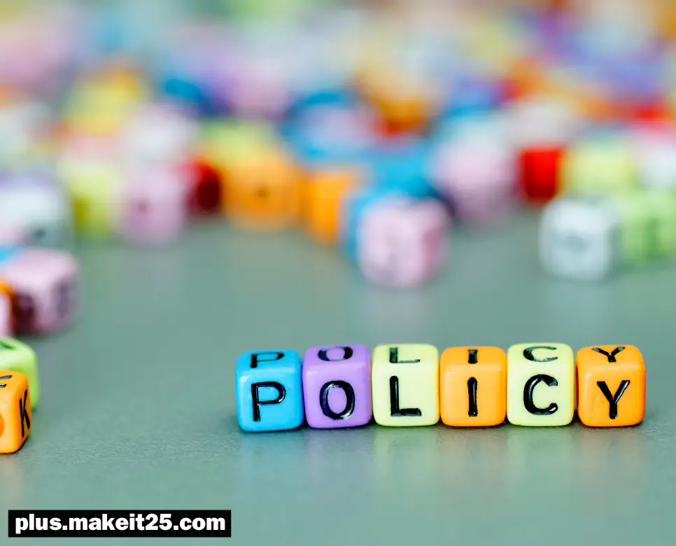 정책