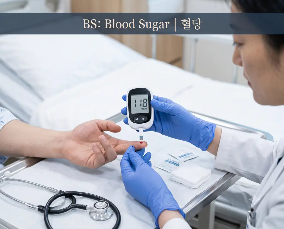 의학용어 BS, BSA, BSC 의학용어 BS, BSA, BSC